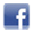 Facebook IGPM